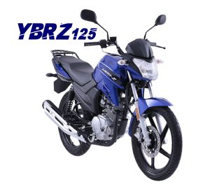 YBR-02