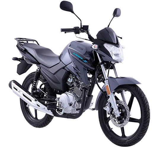 gris-ybrz-2023